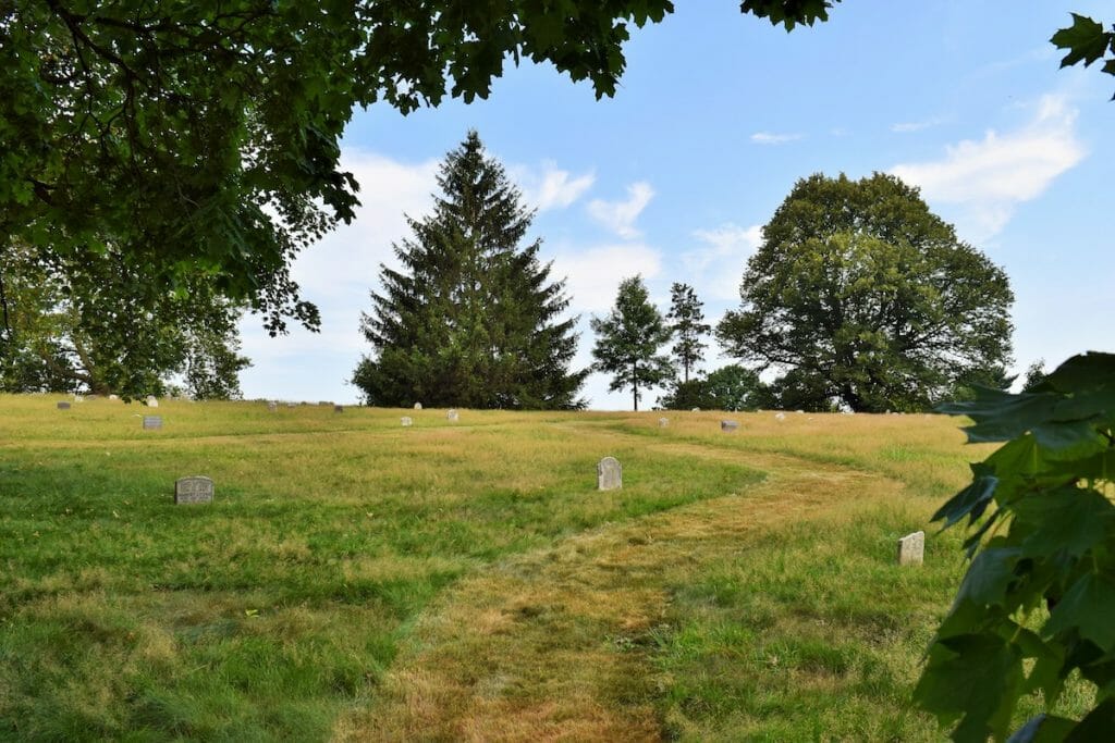 Green-Wood managed meadow